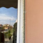 IMG_8070